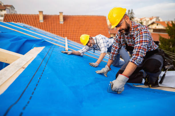 Best Roof Gutter Cleaning  in Schulenburg, TX