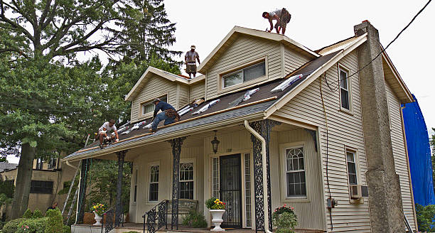 Best Metal Roofing Contractor  in Schulenburg, TX